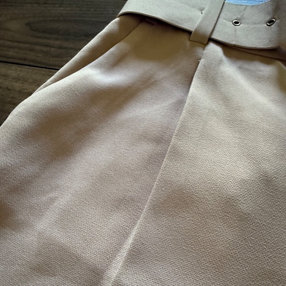 Zara Belted Darted Trousers | Size XS | Light Pink - Picture 6 of 7